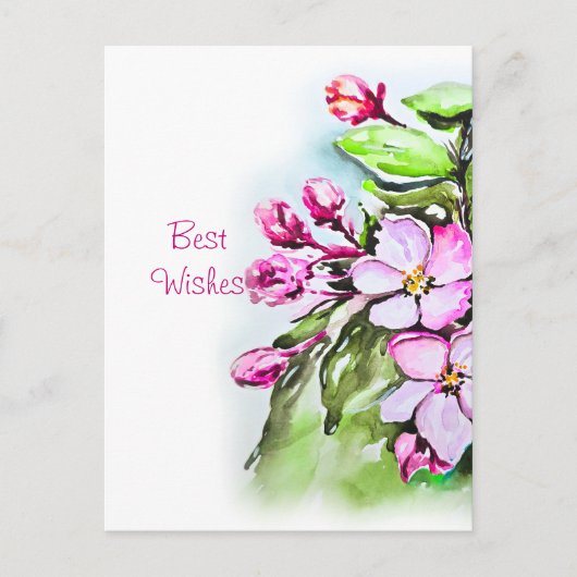 Blühende Apple-Blüten Postkarte (Vorderseite)