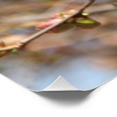 Blühende Apple Tree Canvas Print Poster (Ecke)