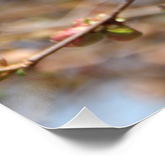 Blühende Apple Tree Canvas Print Poster (Ecke)