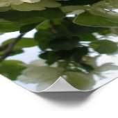 Blühende Apple Tree Print Poster (Ecke)