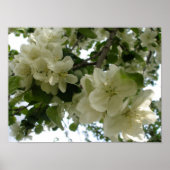 Blühende Apple Tree Print Poster (Vorne)