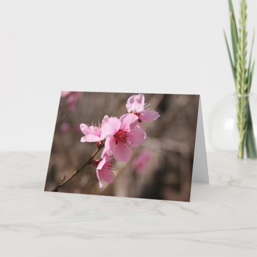 Blühende Azalee Dankeskarte (Vorderseite)