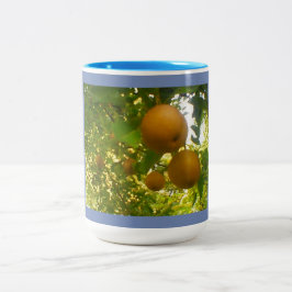 Blühende Birnen Zweifarbige Tasse