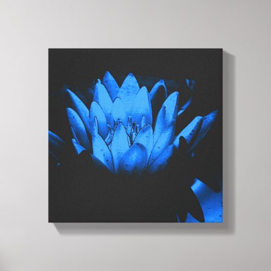 Blühende Blaue Wasserlilie Lotus Blume Abstrakt Leinwanddruck (Vorderseite)