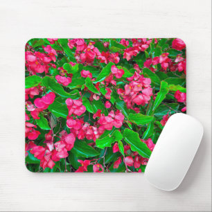 Blühende Blume aus rotem Begonia Mousepad