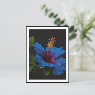 blühende Blume des blauen Hibiskus, Postkarte