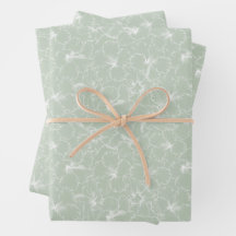 Blühende Blume des weißen Hibiskus auf der Ebene