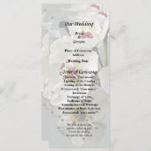 Blühende Blüten aus weißer Birne Programm (Vorne/Hinten)