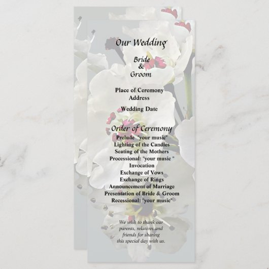 Blühende Blüten aus weißer Birne Programm (Vorne/Hinten)