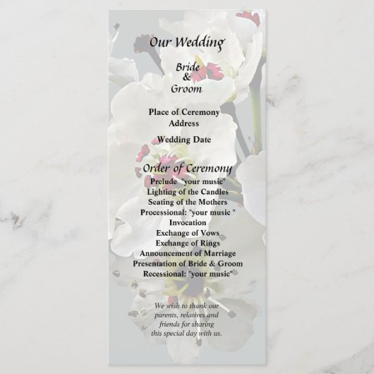 Blühende Blüten aus weißer Birne Programm (Vorderseite)