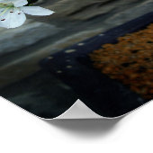 Blühende Bonsai Poster (Ecke)