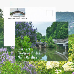 Blühende Brücke Lake Lure North Carolina Foto Postkarte