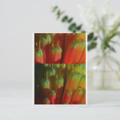 Blühende BUDS : Cactus Wild : Grüße, Glück Postkarte (Stehend Vorderseite)