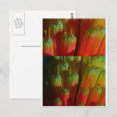 Blühende BUDS : Cactus Wild : Grüße, Glück Postkarte (Vorne/Hinten)