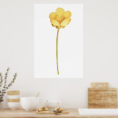 Blühende Butterblume gelbe Blume Poster (Küche)