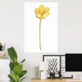 Blühende Butterblume gelbe Blume Poster (Heimbüro)