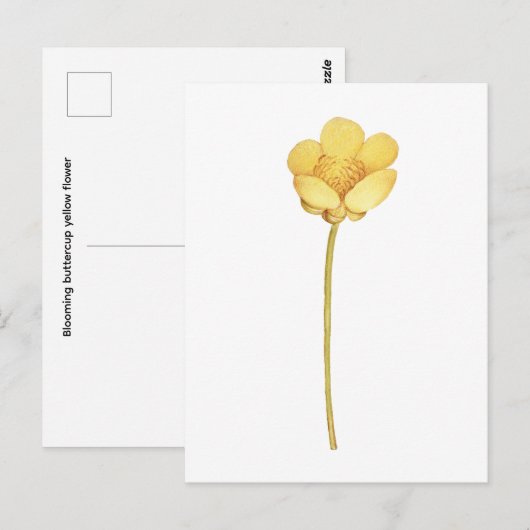 Blühende Butterblume gelbe Blume Postkarte (Vorne/Hinten)
