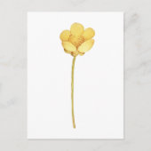 Blühende Butterblume gelbe Blume Postkarte (Vorderseite)