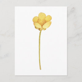 Blühende Butterblume gelbe Blume Postkarte