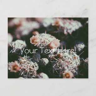 Blühende Cactus Pflanzen Postkarte