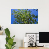 Blühende China Berry Tree Poster (Heimbüro)