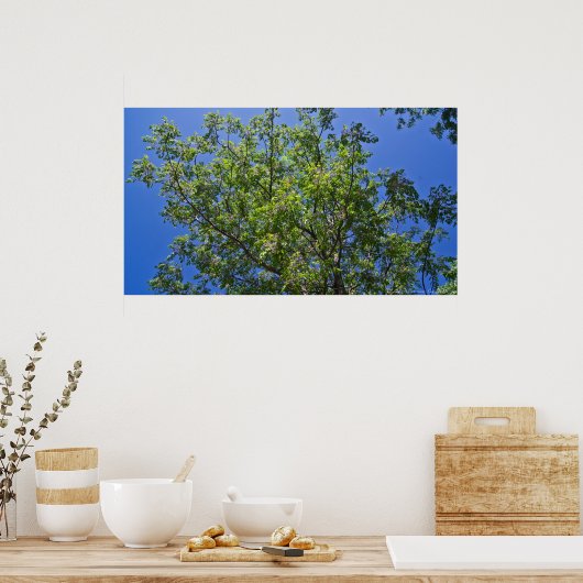 Blühende China Berry Tree Poster (Küche)
