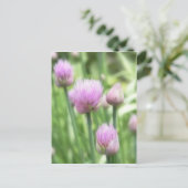 blühende Chives Postkarte (Stehend Vorderseite)