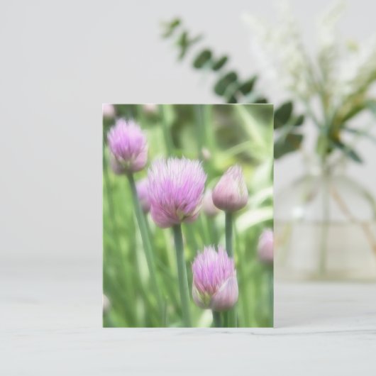 blühende Chives Postkarte (Stehend Vorderseite)