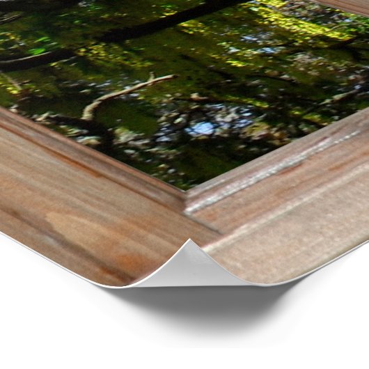 Blühende Darstellung der Laburnumstruktur aus eine Poster (Ecke)