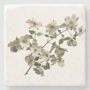 Blühende Dogwood-Blume auf Zweig Steinuntersetzer
