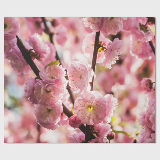 Blühende Erde - rosa Paradise Geschenkpapier (Flach)