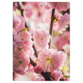 Blühende Erde - rosa Paradise Klemmbrett (Rückseite)