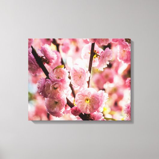Blühende Erde - rosa Paradise Leinwanddruck (Vorderseite)