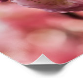Blühende Erde - rosa Paradise Poster (Ecke)