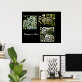 Blühende Evergreen Birne Blume. Poster (Heimbüro)