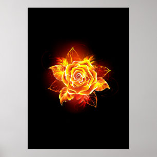 Blühende Feuerrose Poster