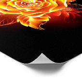 Blühende Feuerrose Poster (Ecke)