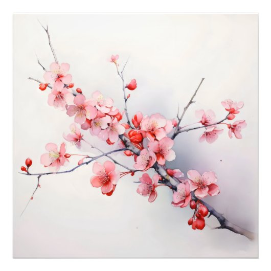 Blühende Frühlingssonne - Blume Fotodruck (Vorne)