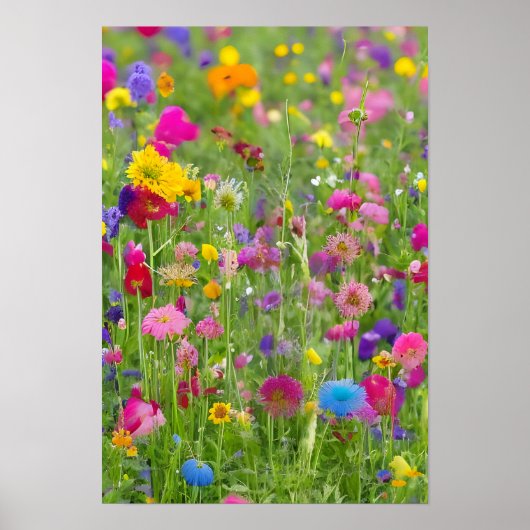 Blühende Frühlingswiese schöne Aussicht Poster (Vorne)