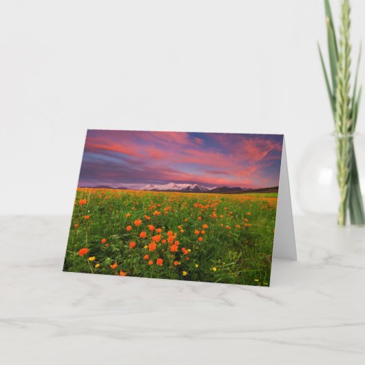 Blühende globale Blume Karte (Vorderseite)