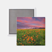 Blühende globale Blume Magnet (Vorderseite/Rückseite)