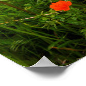 Blühende globale Blume Poster (Ecke)