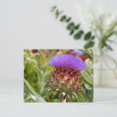 Blühende Globe Artichoke Gemüse Postkarte (Stehend Vorderseite)