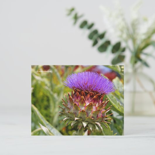 Blühende Globe Artichoke Gemüse Postkarte (Stehend Vorderseite)