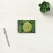 Blühende grüne Zinnia-Blume Post-it Klebezettel (Büro)