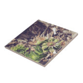 Blühende Henne-und Küken-Pflanzen Fliese (Seite)