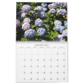 Blühende Hydrangeas Kalender (Jan 2027)