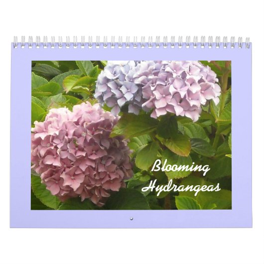 Blühende Hydrangeas Kalender (Titelbild)