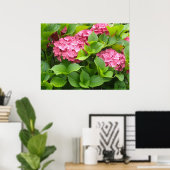 Blühende Hydrangeas Poster (Heimbüro)