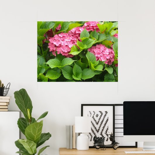 Blühende Hydrangeas Poster (Heimbüro)